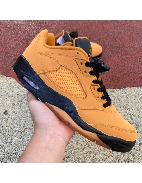 Air Jordan 5