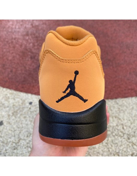 Air Jordan 5