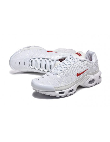 Nike Air Max Plus / TN