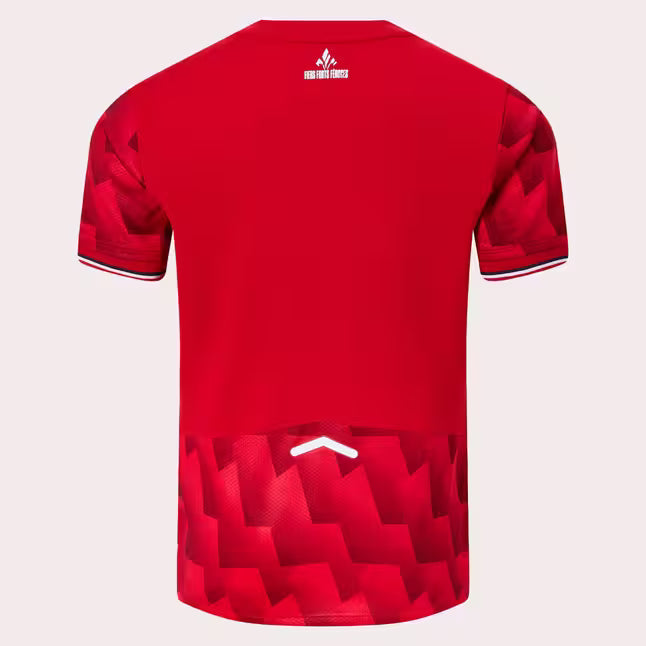 Maillot Lille domicile 25/26