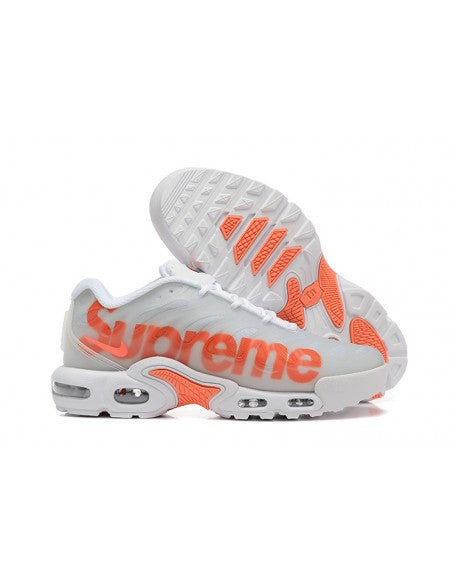 Nike Air Max Plus / TN