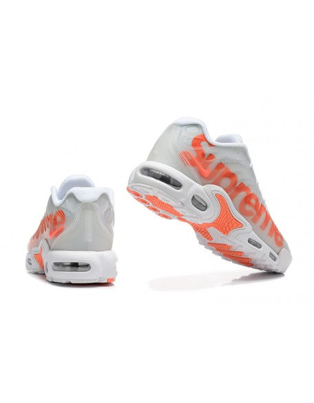 Nike Air Max Plus / TN