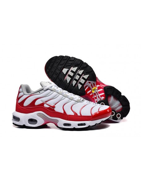 Nike Air Max Plus / TN