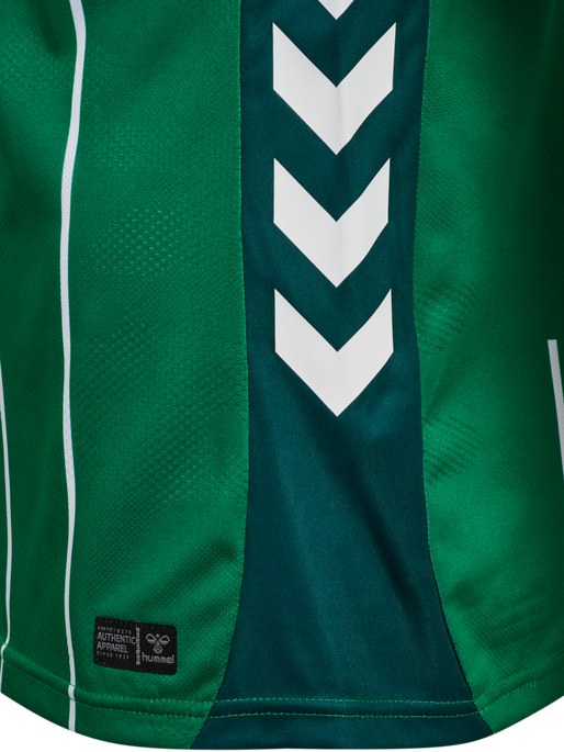 Maillot Werder Brême Domicile 25/26